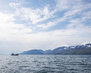 Морские прогулки 